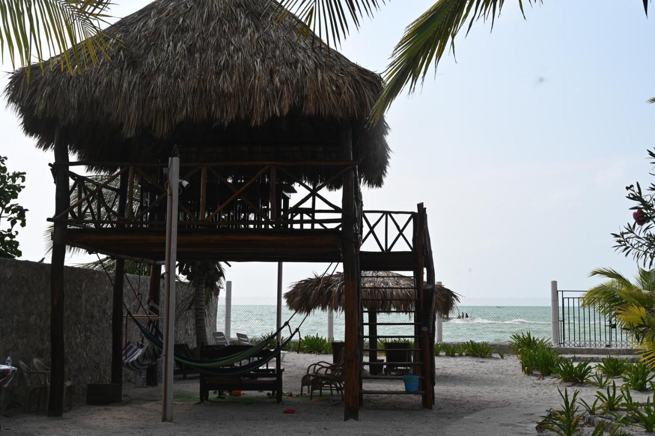 La Casa Del Mexicano 塞莱斯通 外观 照片